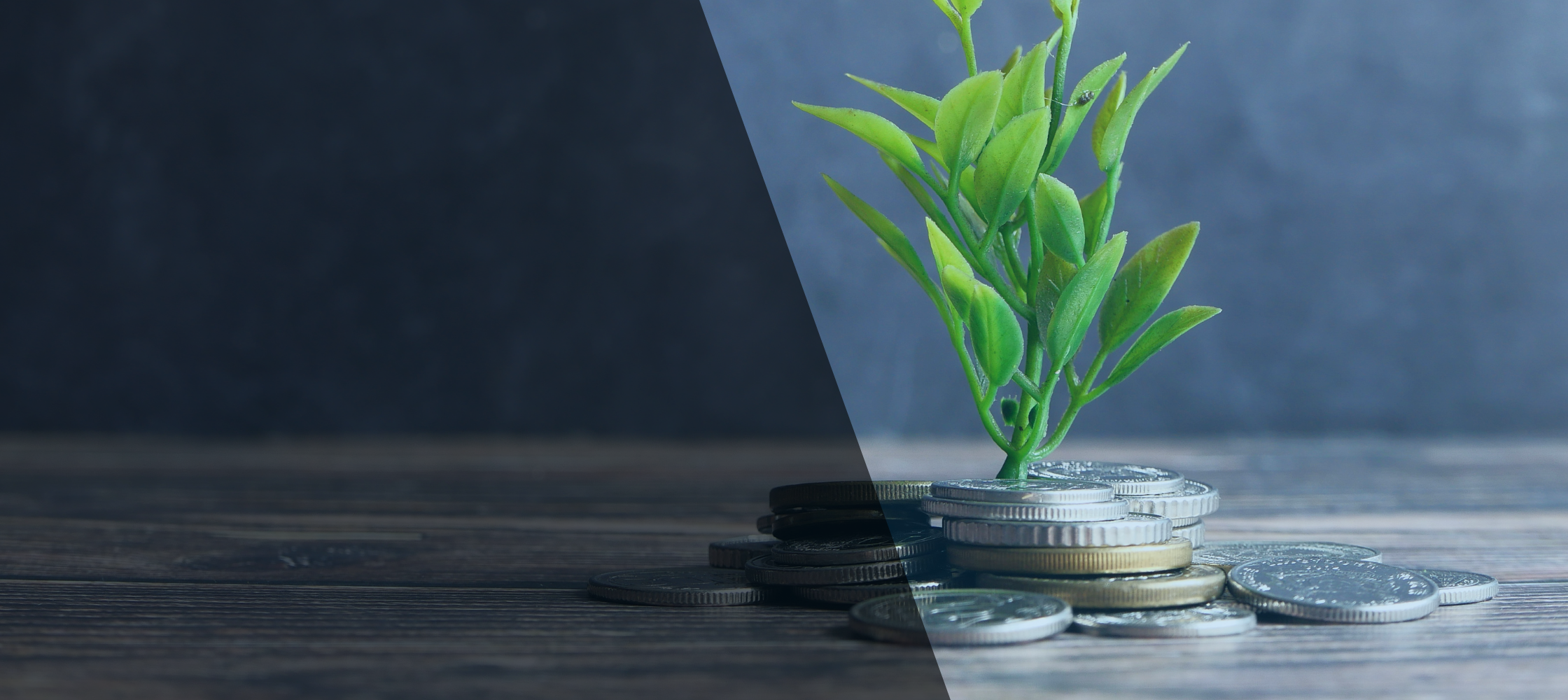 Funding til din virksomhed 